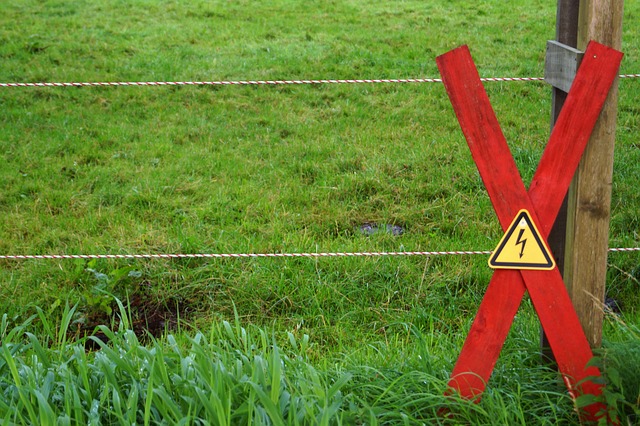 Zemsta Elektrycznego Pastucha: Jak Nauczyłem Się Szanować Wysokie Napięcie i Dlaczego Elektryczne Ogrodzenie To Nie Zabawka